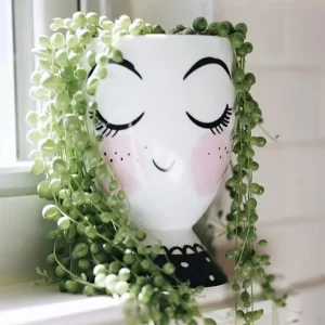 Eyelash Planter